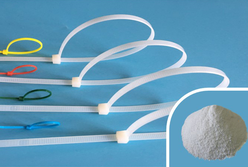 XS-CH-101 Nucleating Middel for PA
